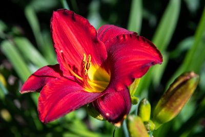 230719-07-Jardins D A Seguin.jpg