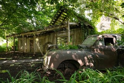230719-09-Jardins D A Seguin.jpg