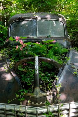 230719-10-Jardins D A Seguin.jpg