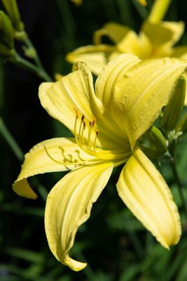 230719-17-Jardins D A Seguin.jpg