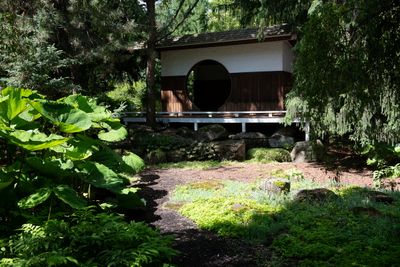 230719-18-Jardins D A Seguin.jpg