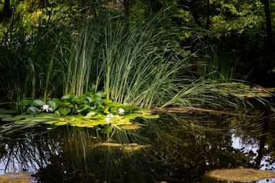 230719-24-Jardins D A Seguin.jpg