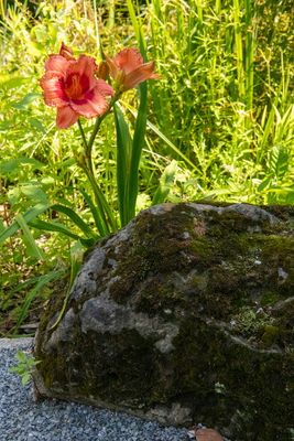 230719-25-Jardins D A Seguin.jpg