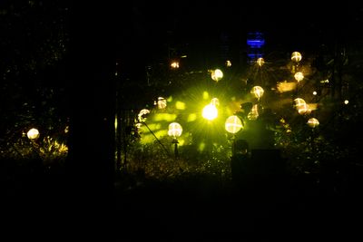 230729-90-Le vol de loiseau mecanique - Massif P.R.St-Francois.jpg