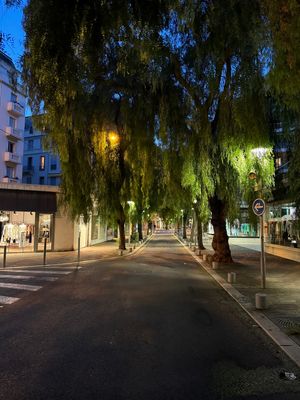 01-061-Nice-la nature.JPG