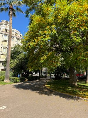 01-062-Nice-la nature.JPG