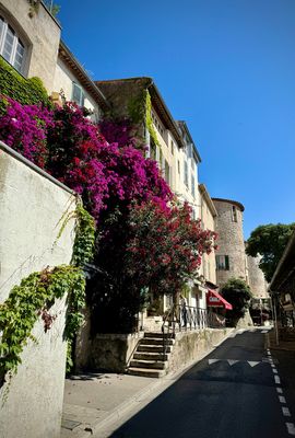 03-080-240617-Antibes.JPG