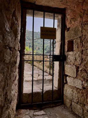 06-111-240619-Eze.JPG