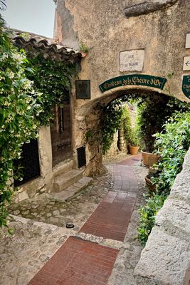 06-113-240619-Eze.JPG