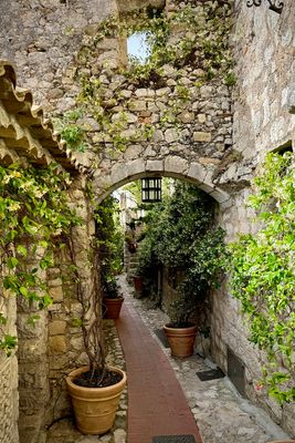 06-114-240619-Eze.JPG