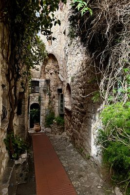 06-119-240619-Eze.JPG