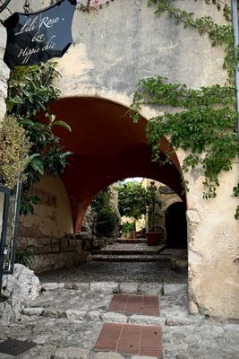 06-123-240619-Eze.JPG