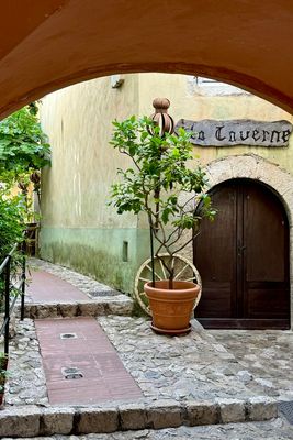 06-124-240619-Eze.JPG