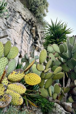 06-126-240619-Eze.JPG