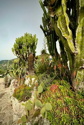 06-127-240619-Eze.JPG