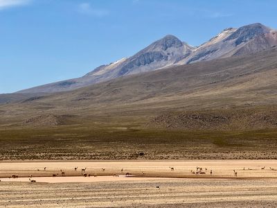 241025-068-De Arequipa a Puno.JPG