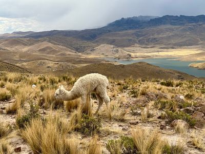 241025-071-De Arequipa a Puno.JPG