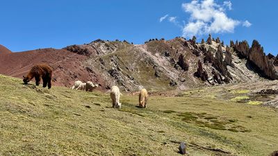 241101-266-Treck - Palcoyo.JPG