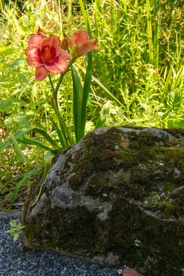 2023_03 Le secret du jardin (Jardins Seguin) 12x18.jpg