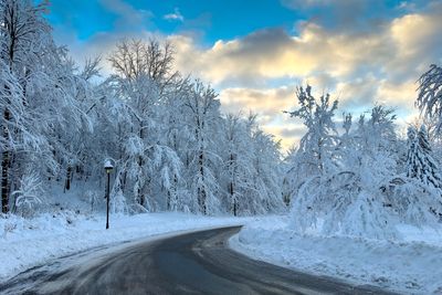 2024-02 Il a neige (Mont St-Hilaire) 18 x 12.JPG