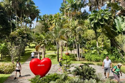 250323-056-Martinique-Jardins de Balata.JPG
