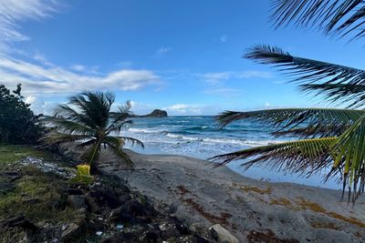 250323-095-Martinique-Ste Marie.JPG