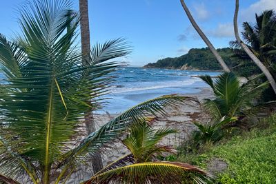 Caraibes