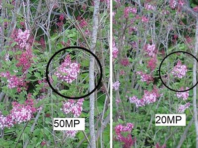 Olympus E-M1II High Resolution Mode Comparison.jpg