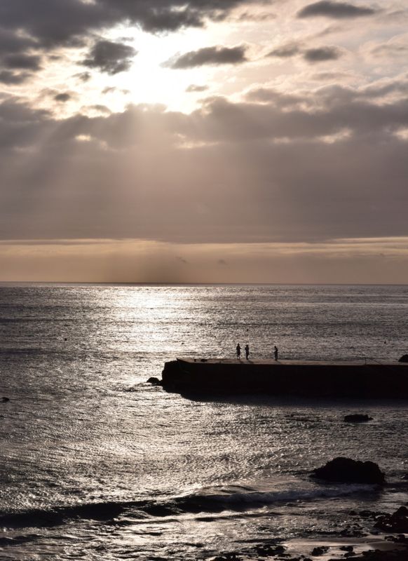 Sardina del Norte