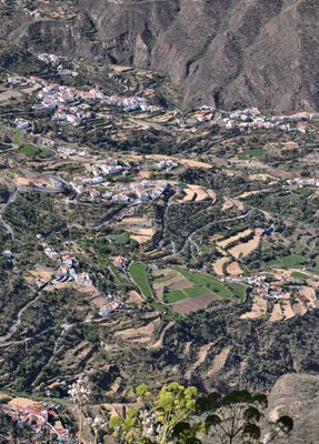 Terraced fields of Tejeda