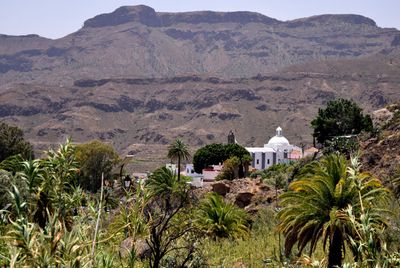 Santa Lucia