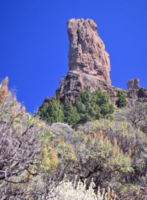Roque Nublo