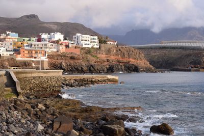 Sardina del Norte