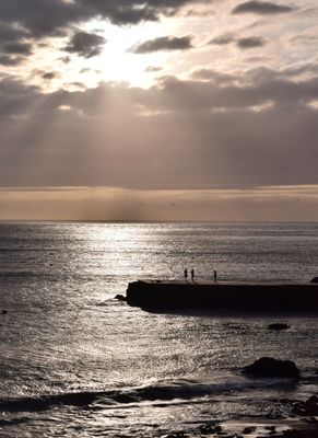 Sardina del Norte