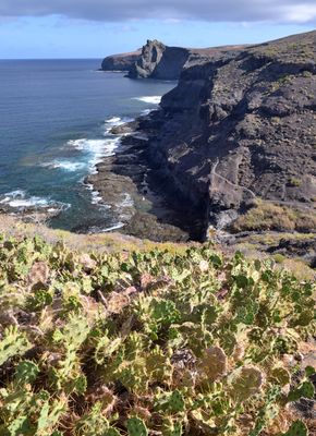 Trail from Agaete to Punta Gorda