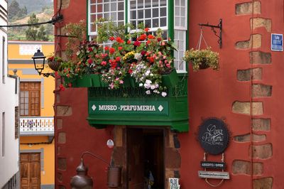Teror