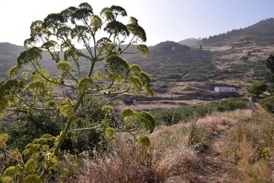 2023 - Gran Canaria