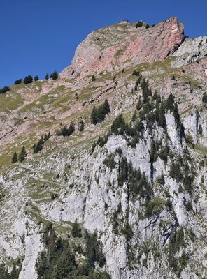 g13/33/557833/3/173996321.057d2858.JPEG