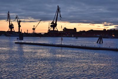 Cranes after sunset