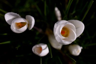 25 February