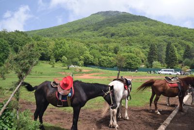 Dajti mountain