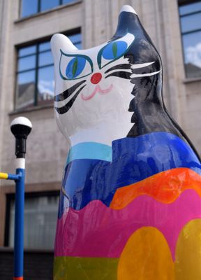 Colorful cat, Antwerp