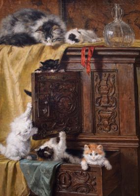 Cats in drawers
