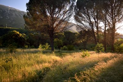 Evening in Permet