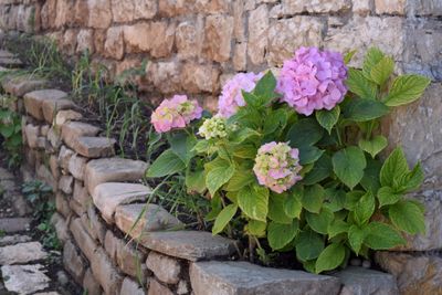 g13/33/557833/3/174738208.38b24e56.JPEG