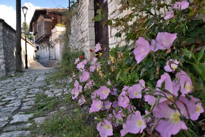 Stone street in Kalaja