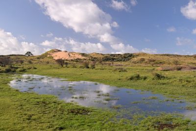 Zuid-Kennemerland National Park