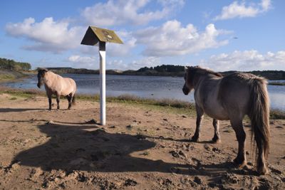 Zuid-Kennemerland National Park