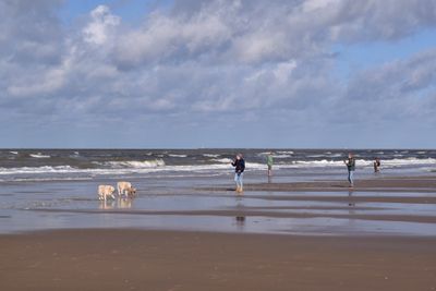 Parnassia Beach