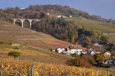 Le Chtelard
